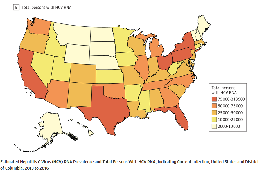 Prevalence of Hepatitis C Virus Infection in US States and the District of Columbia, 2013 to 2016